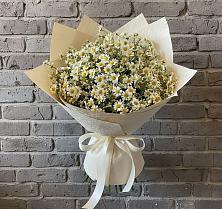 Букет цветов из:  Ромашки #REPLACE_PRED# Верхнекундрюческой